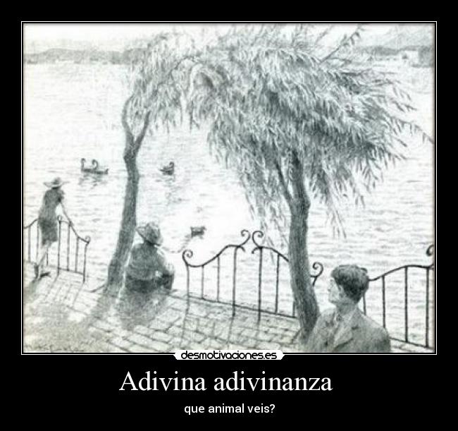 Adivina adivinanza - que animal veis?