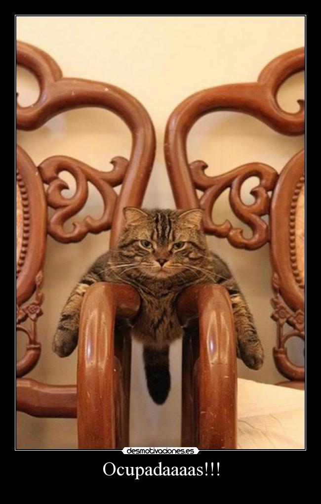 Ocupadaaaas!!! - 