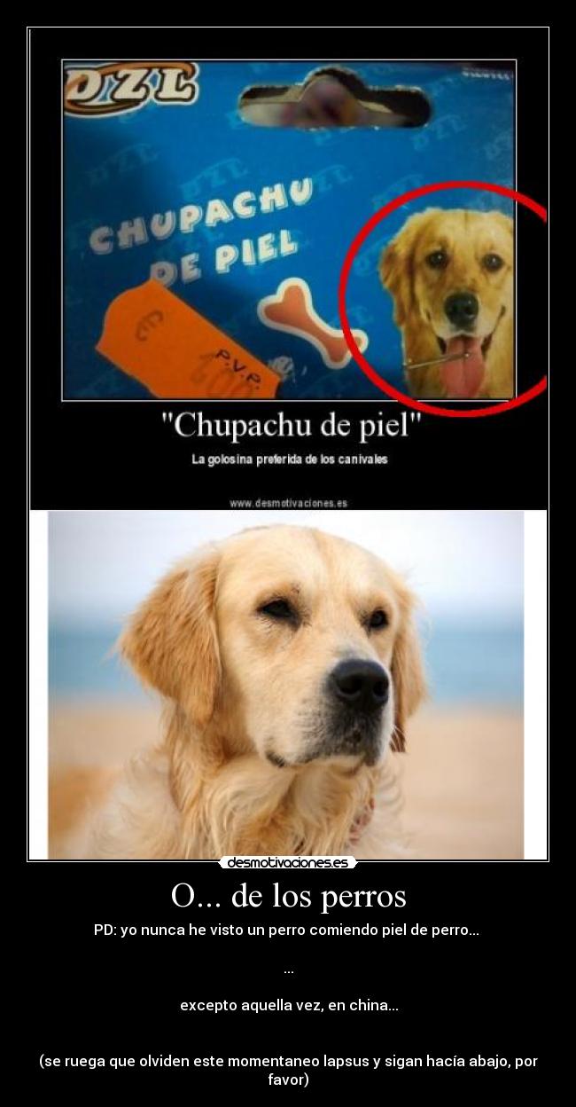 O... de los perros -