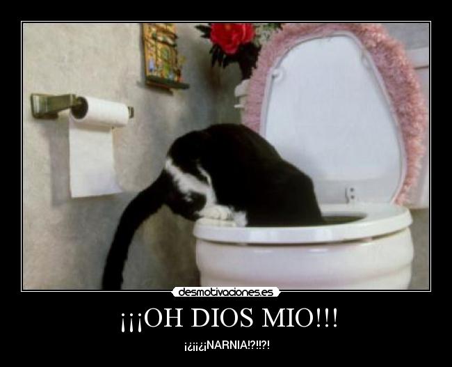 ¡¡¡OH DIOS MIO!!! -