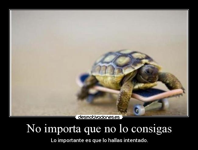 No importa que no lo consigas -