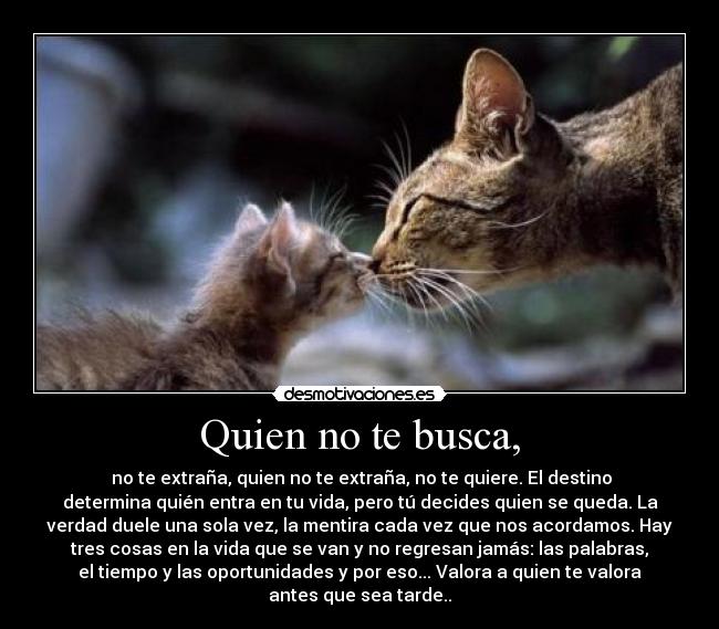 Quien no te busca, -  no te extraña, quien no te extraña, no te quiere. El destino
determina quién entra en tu vida, pero tú decides quien se queda. La
verdad duele una sola vez, la mentira cada vez que nos acordamos. Hay
tres cosas en la vida que se van y no regresan jamás: las palabras,
el tiempo y las oportunidades y por eso... Valora a quien te valora
antes que sea tarde..