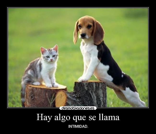 Hay algo que se llama -