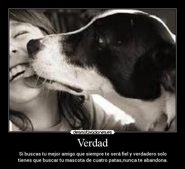 Verdad -