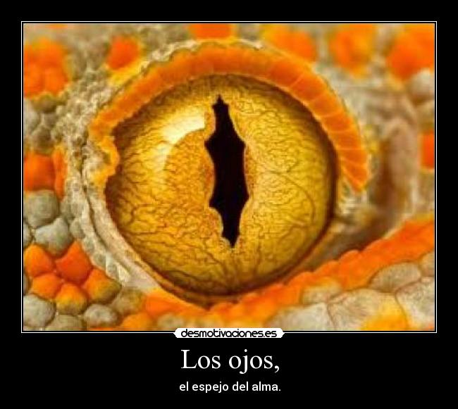 Los ojos, -