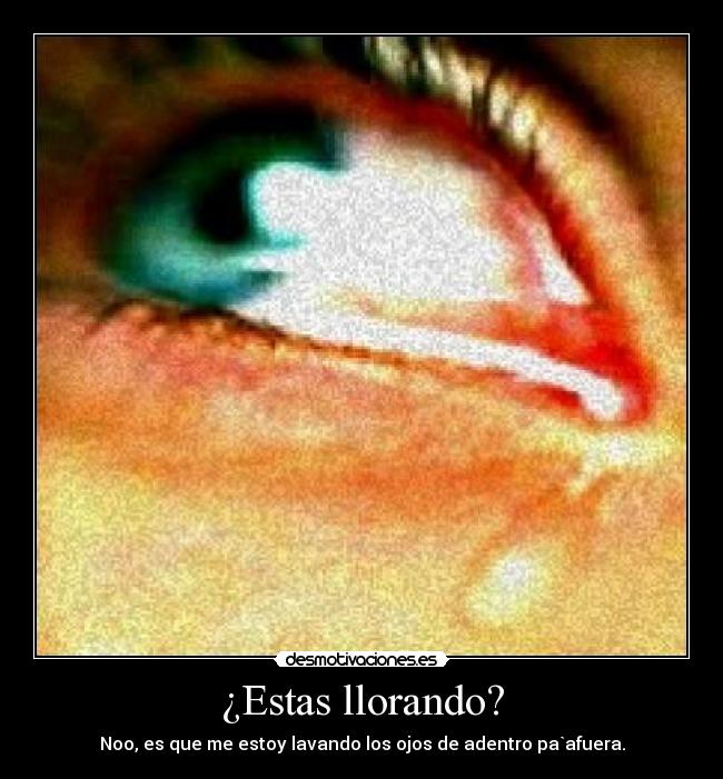 carteles wwwdesmotivacionescom desmotivaciones