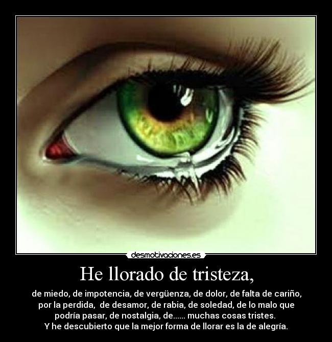 He llorado de tristeza, - de miedo, de impotencia, de vergüenza, de dolor, de falta de cariño,
por la perdida, de desamor, de rabia, de soledad, de lo malo que
podría pasar, de nostalgia, de...... muchas cosas tristes.
Y he descubierto que la mejor forma de llorar es la de alegría.