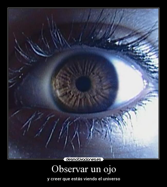 Observar un ojo - 