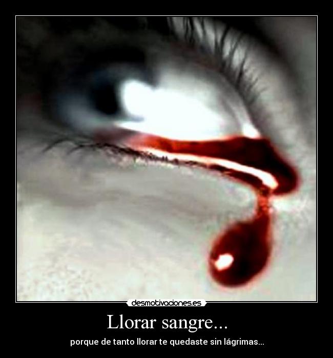 carteles llorar llorar sangre por infinito dolor desmotivaciones