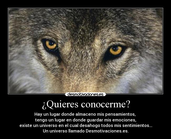 ¿Quieres conocerme? - Hay un lugar donde almaceno mis pensamientos, 
tengo un lugar en donde guardar mis emociones,
existe un universo en el cual desahogo todos mis sentimientos...
Un universo llamado Desmotivaciones.es.