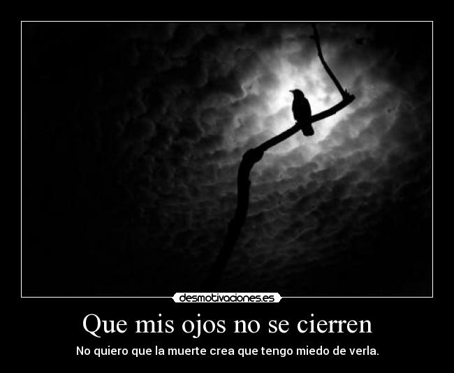 Que mis ojos no se cierren - 