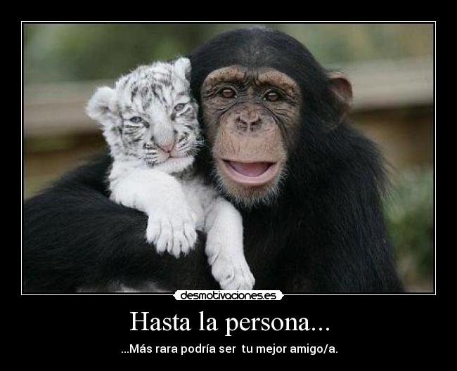 Hasta la persona... - 