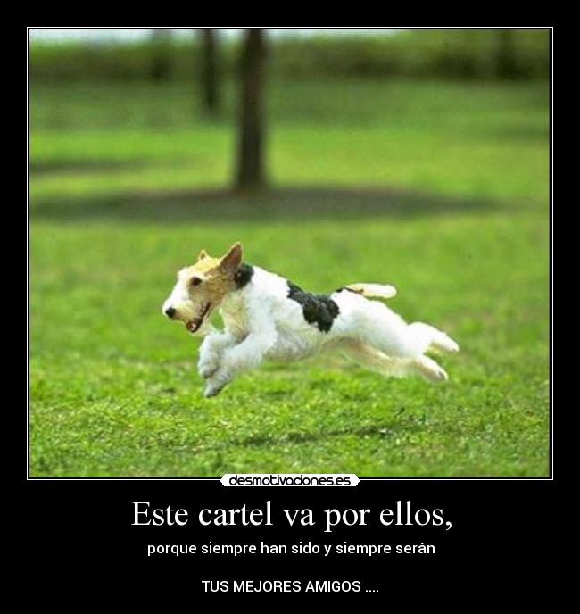 Este cartel va por ellos, - 