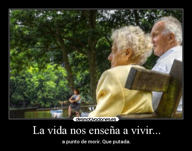 La vida nos enseña a vivir... - 