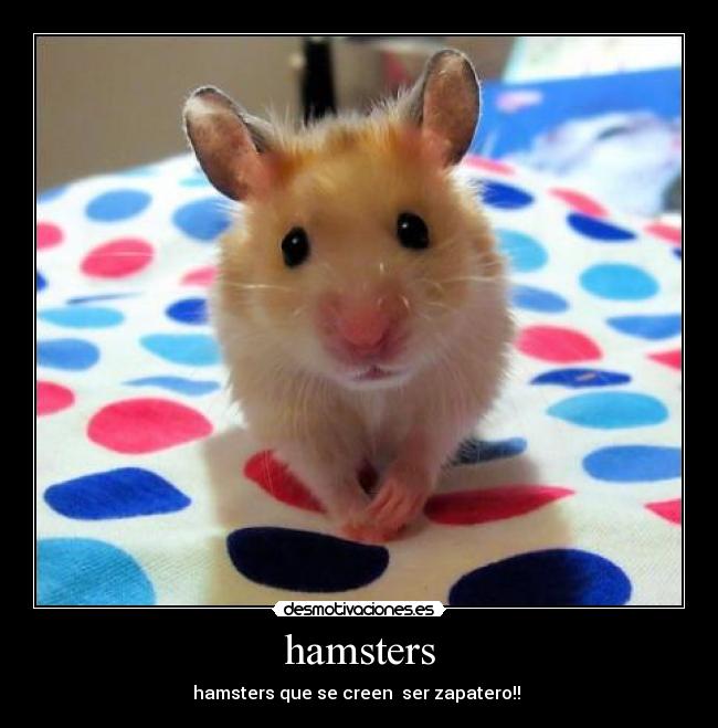 carteles hamsters desmotivaciones