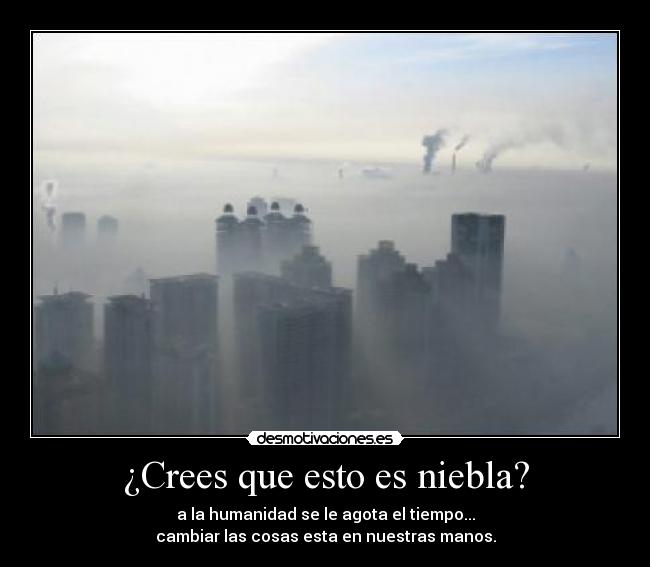 ¿Crees que esto es niebla? -