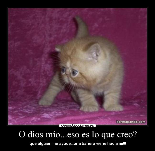 O dios mío...eso es lo que creo? - que alguien me ayude...una bañera viene hacia mi!!!