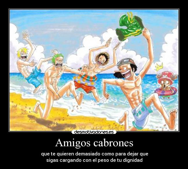 carteles amigos one piece sanji zoro luffy usopp chopper playa banador amigos dignidad desmotivaciones