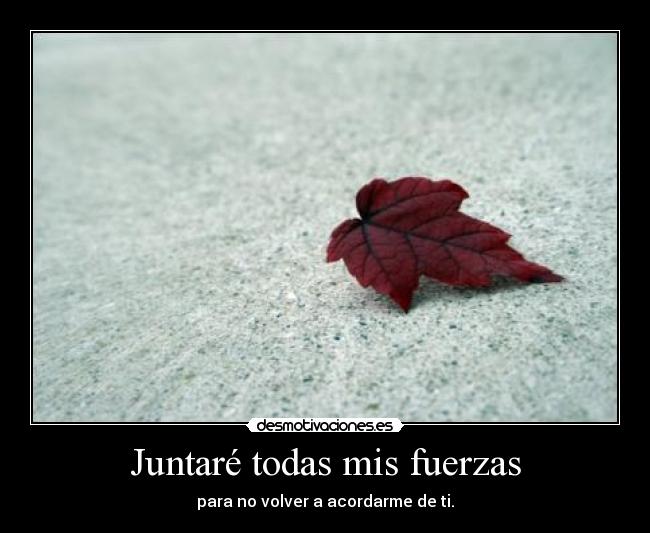 Juntaré todas mis fuerzas - para no volver a acordarme de ti.