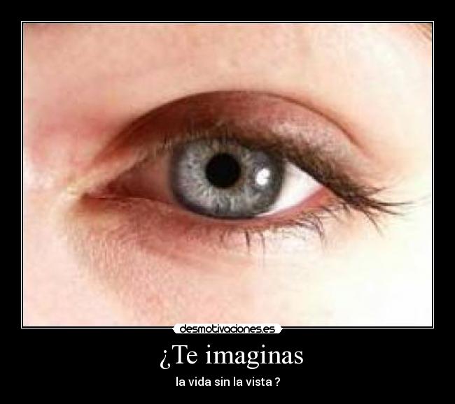  ¿Te imaginas - 