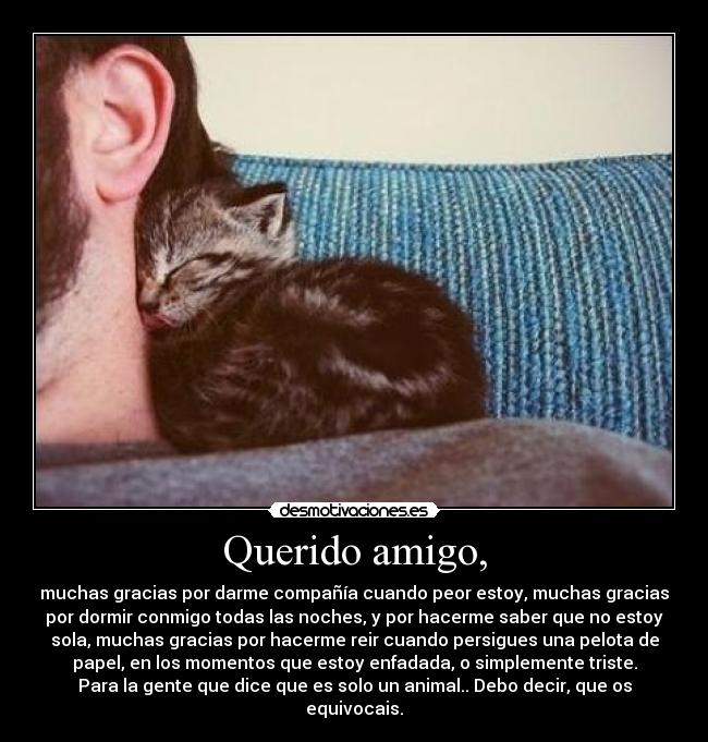 Querido amigo, -