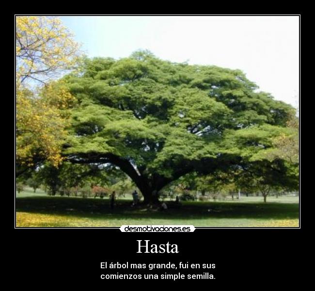 Hasta -