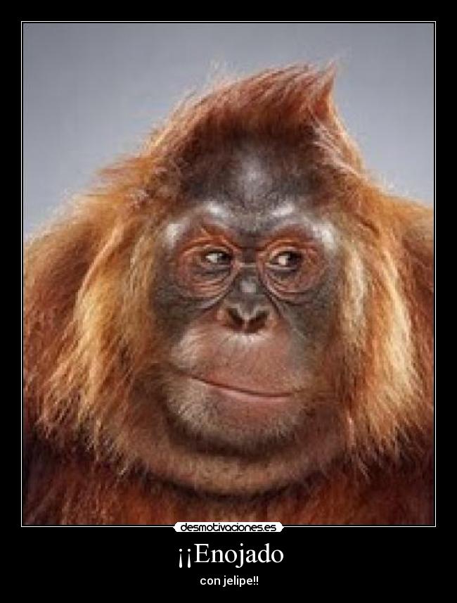 ¡¡Enojado - con jelipe!!