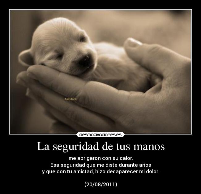 La seguridad de tus manos - 
