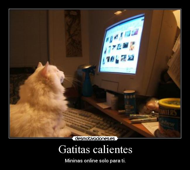 Gatitas calientes - Mininas online solo para ti.