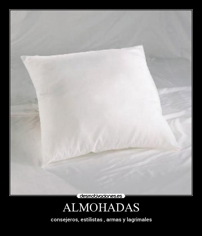 ALMOHADAS -