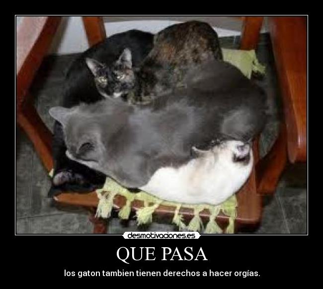 carteles  desmotivaciones