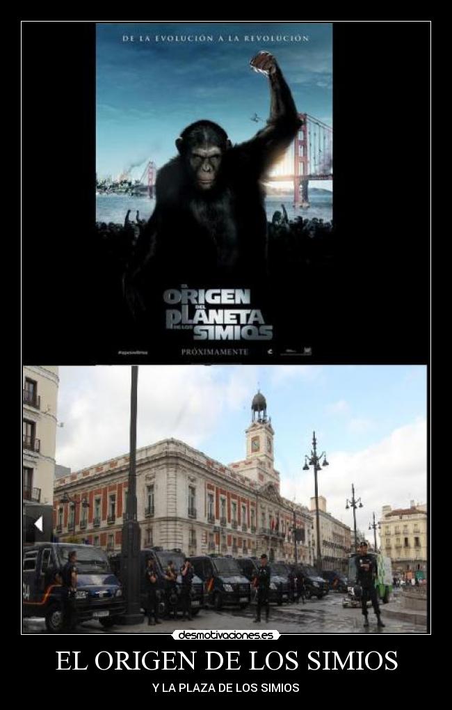 EL ORIGEN DE LOS SIMIOS -