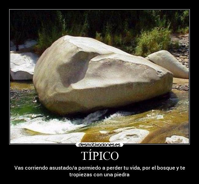 TÍPICO - 