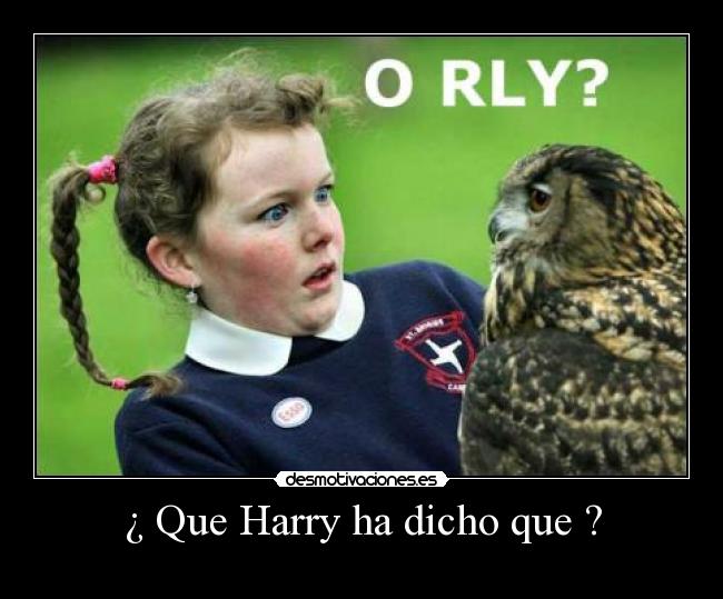 carteles harry potter rly desmotivaciones
