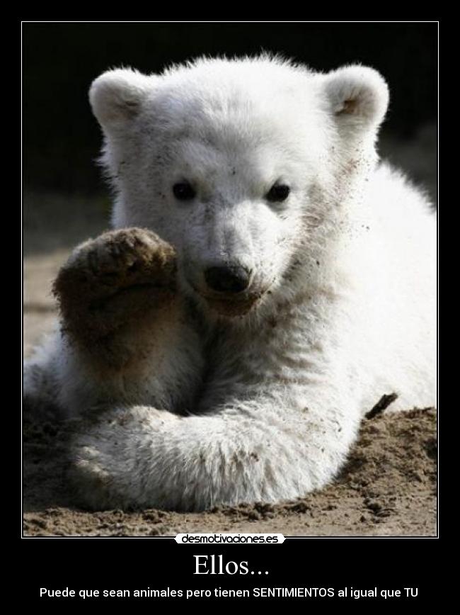 Ellos... - Puede que sean animales pero tienen SENTIMIENTOS al igual que TU