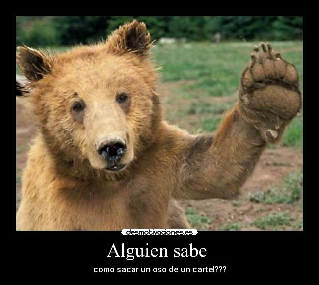 Alguien sabe -