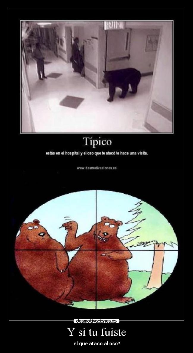 carteles oso atacar fuiste desmotivaciones