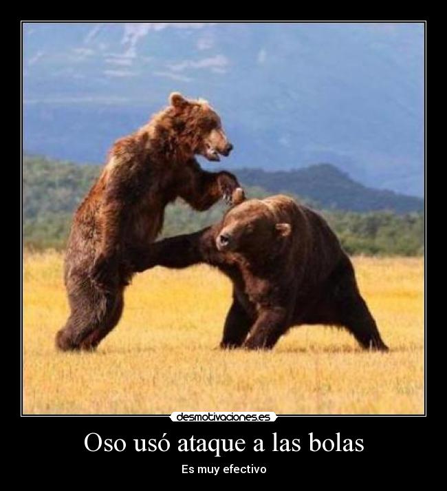 Oso usó ataque a las bolas - Es muy efectivo