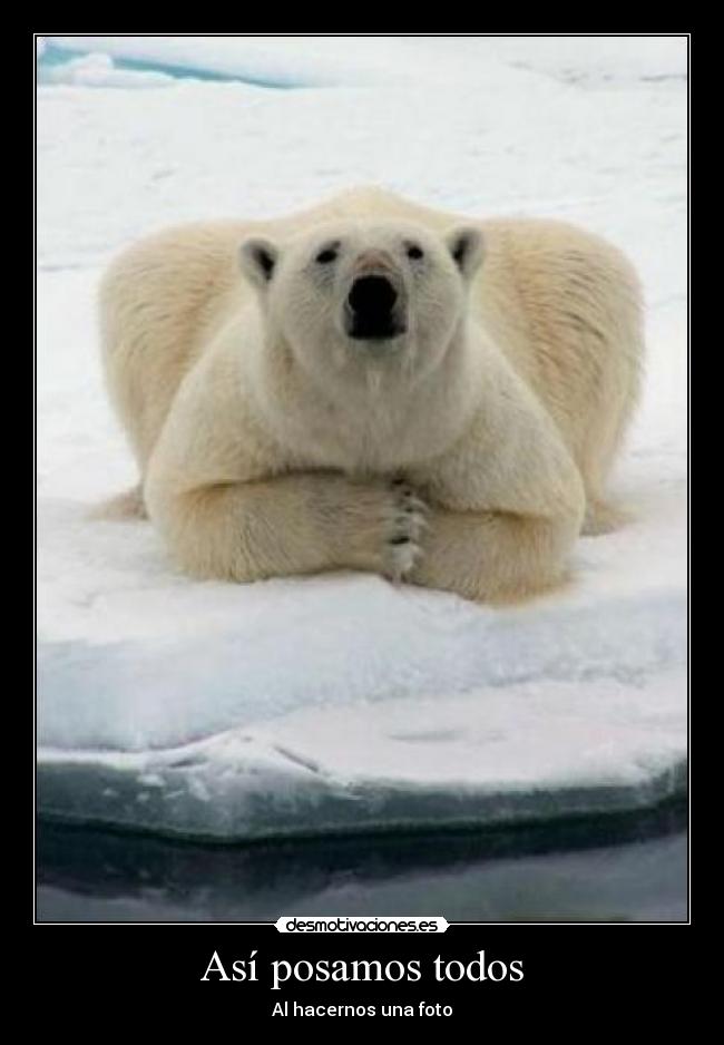 carteles asi posamos desmotivaciones