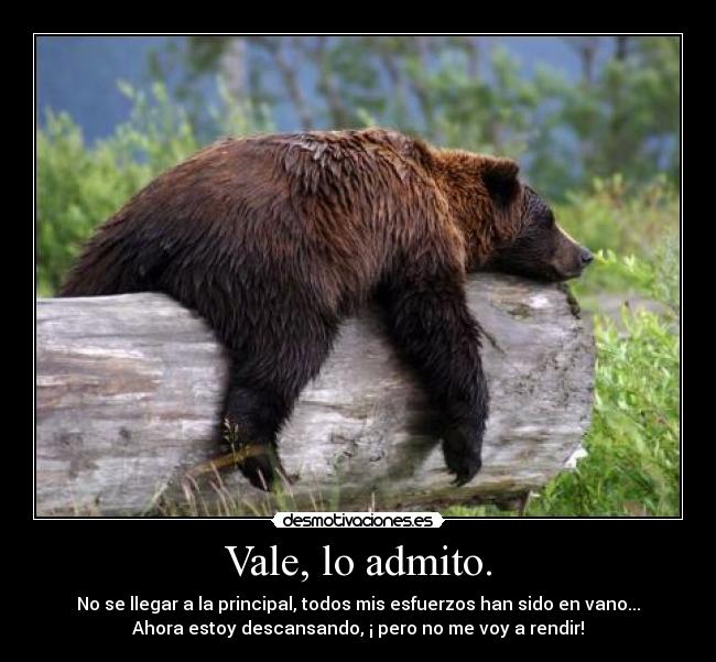Vale, lo admito. - No se llegar a la principal, todos mis esfuerzos han sido en vano...
Ahora estoy descansando, ¡ pero no me voy a rendir!