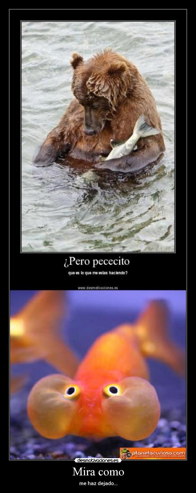 Mira como - me haz dejado...