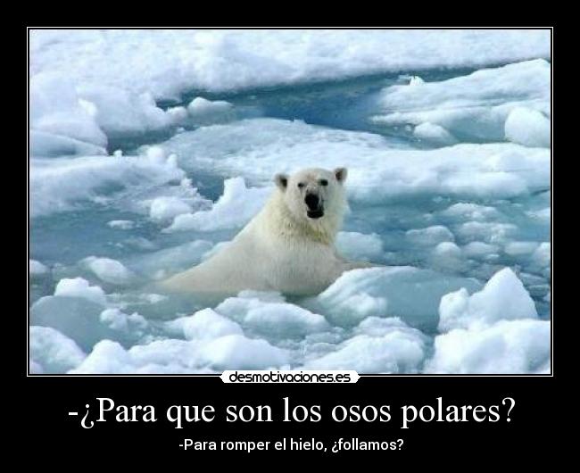 -¿Para que son los osos polares? - -Para romper el hielo, ¿follamos?