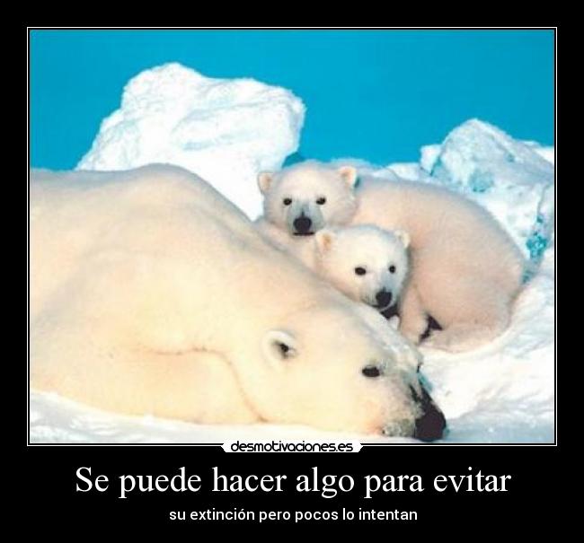 carteles calentamientoglobal desmotivaciones