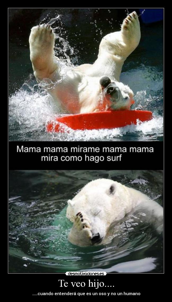 carteles osos polares desmotivaciones