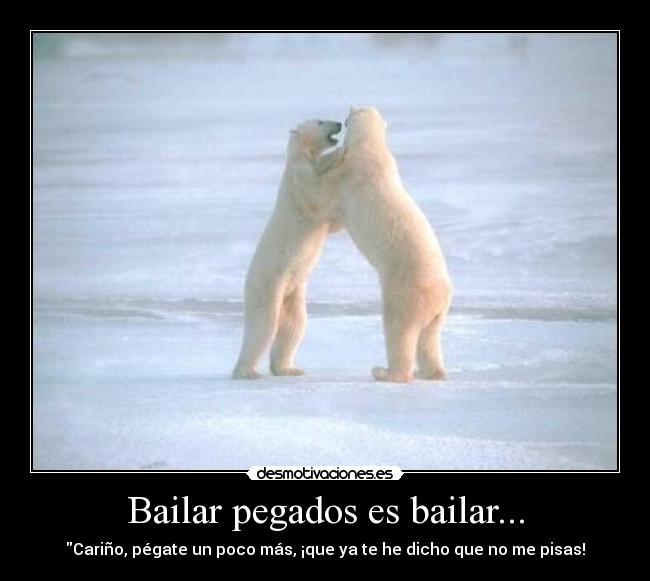 carteles bailar pegados carino pegate osos zurdoinyourface desmotivaciones