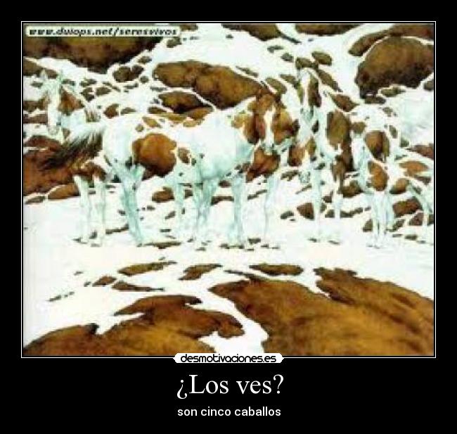 ¿Los ves? - son cinco caballos