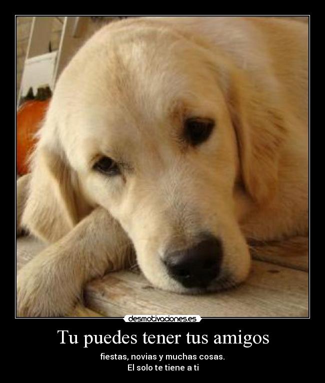 Tu puedes tener tus amigos - 