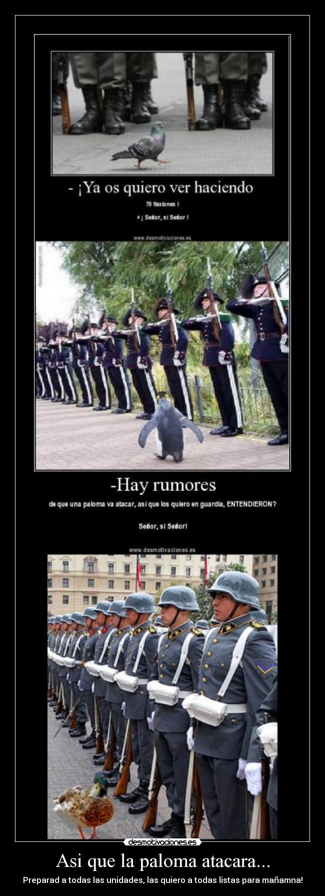 Asi que la paloma atacara... - Preparad a todas las unidades, las quiero a todas listas para mañamna!