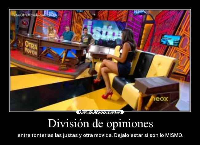 División de opiniones - 