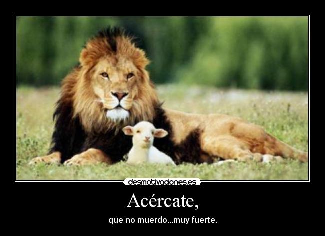 Acércate, - que no muerdo...muy fuerte.